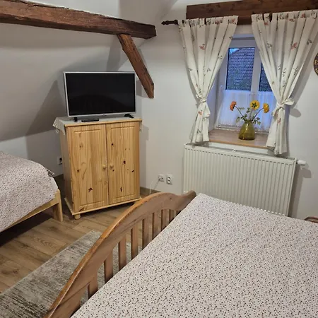 Za Kaplickou Guest house *