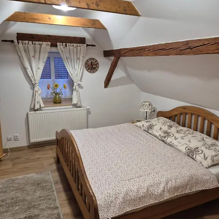 Za Kaplickou Guest house