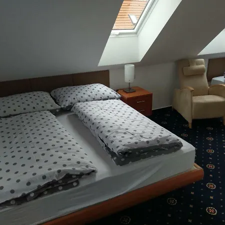 Za Kaplickou Guest house *